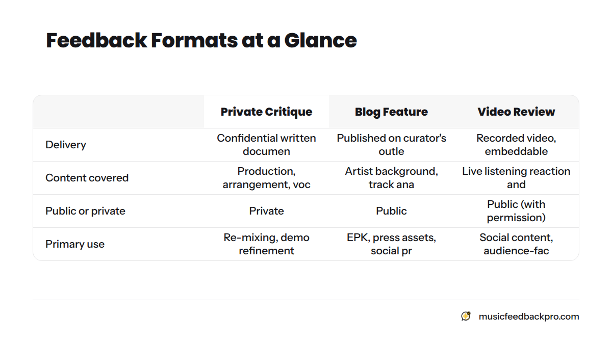 A comparison of three feedback formats — Private Critique, Blog Feature, and Video Review — across what each covers and how artists use it.