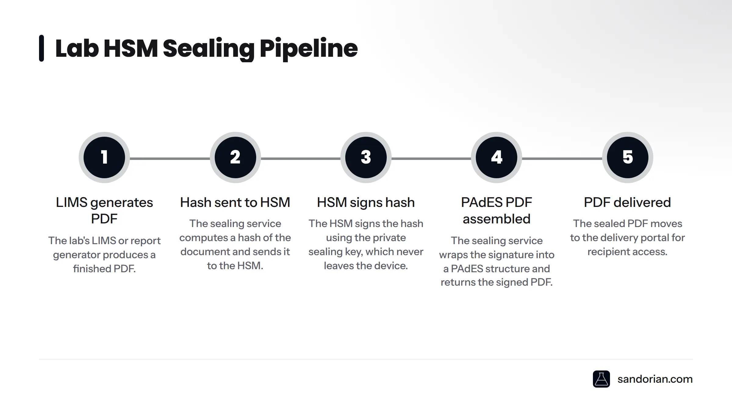 Five-step diagram of an on-premises HSM sealing pipeline: the LIMS produces a PDF, a hash is sent to the HSM, the HSM signs it, the signature is wrapped into a PAdES PDF, and the sealed PDF is…