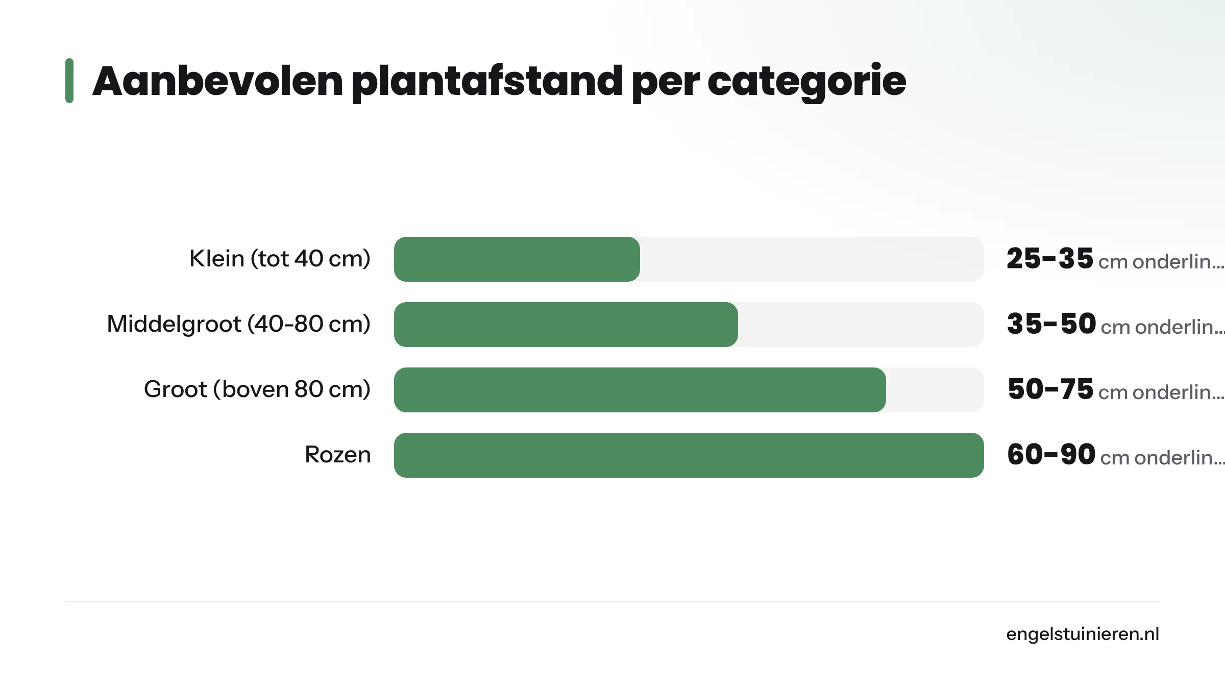 Staafdiagram met vier plantcategorieën en hun aanbevolen onderlinge afstand: kleine vaste planten 25-35 cm, middelgrote 35-50 cm, grote structuurplanten 50-75 cm en rozen 60-90 cm.