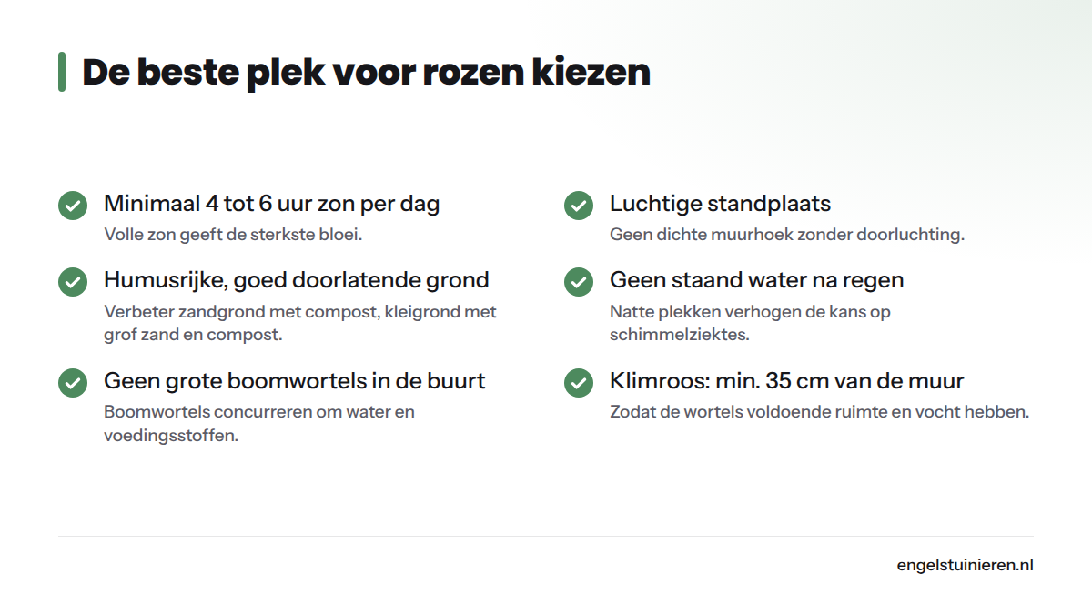 Checklist met zes criteria voor de ideale rozenstandplaats, waaronder minimaal 4 tot 6 uur zon per dag en 35 cm afstand tot de muur voor klimrozen.