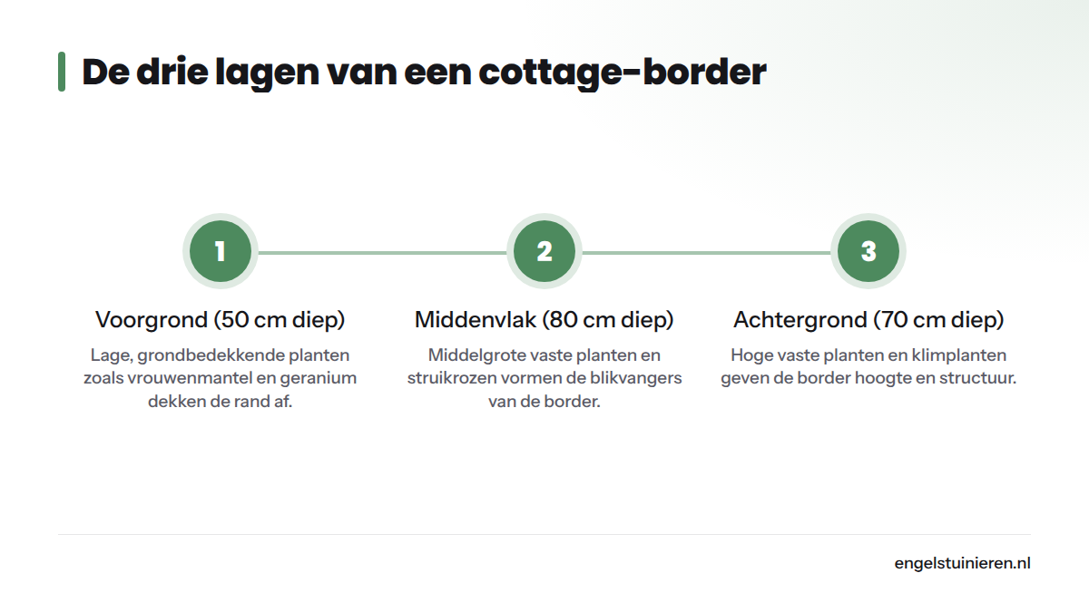 Drie stappen die de lagenopbouw van een cottage-border tonen: voorgrond, middenvlak en achtergrond, elk met bijbehorende plantensoorten en diepte.
