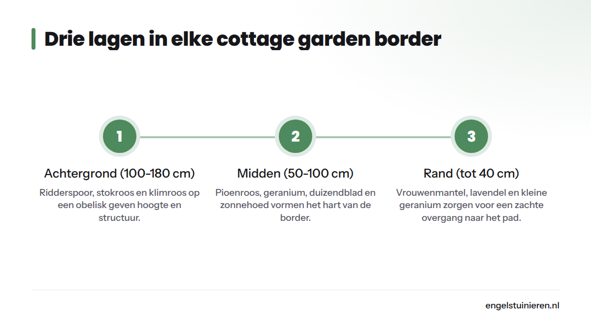 Drie geordende lagen voor een cottage garden border: achtergrond met hoge planten tot 180 cm, middenveld tot 100 cm en een lage rand tot 40 cm.
