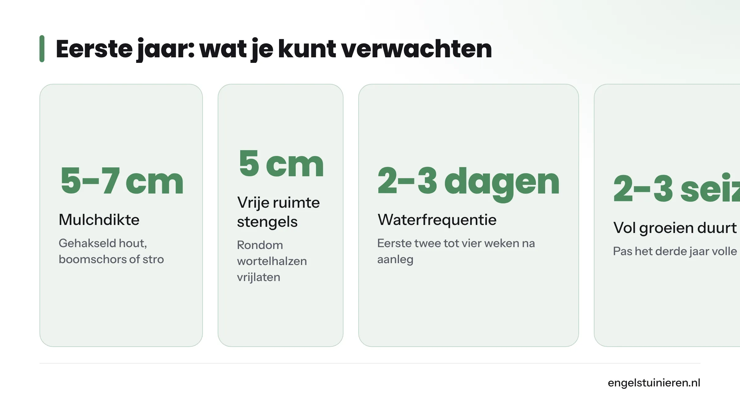 Vier kerngetallen over het onderhoud na aanleg: mulchdikte van 5 tot 7 cm, vrije ruimte rondom stengels van 5 cm, watergeven elke 2 tot 3 dagen en 2 tot 3 seizoenen om vol te groeien.