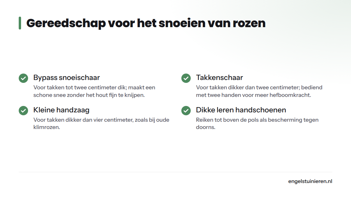 Checklist van vier soorten gereedschap die nodig zijn bij het snoeien van rozen: bypass snoeischaar, takkenschaar, handzaag en dikke leren handschoenen.
