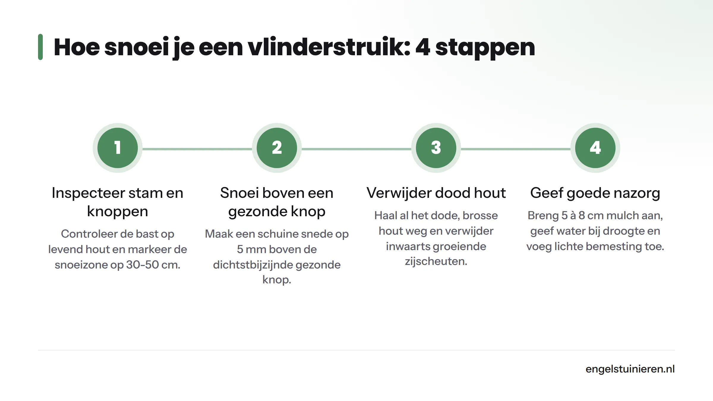 Vier stappen voor het snoeien van een vlinderstruik: inspectie, terugsnoeien boven een knop, dood hout verwijderen en nazorg geven.