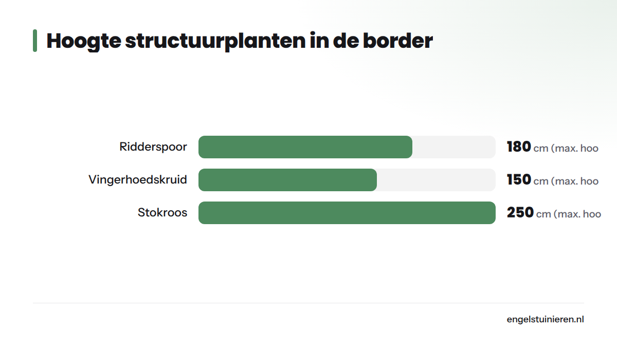 Staafdiagram met de maximale hoogte van drie structuurplanten: ridderspoor tot 180 cm, vingerhoedskruid tot 150 cm en stokroos tot 250 cm.