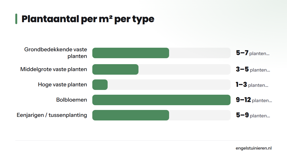 Staafdiagram met het aanbevolen aantal planten per vierkante meter voor vijf planttypes in een cottage-border, variërend van 1 struikroos tot 9–12 bolbloemen.