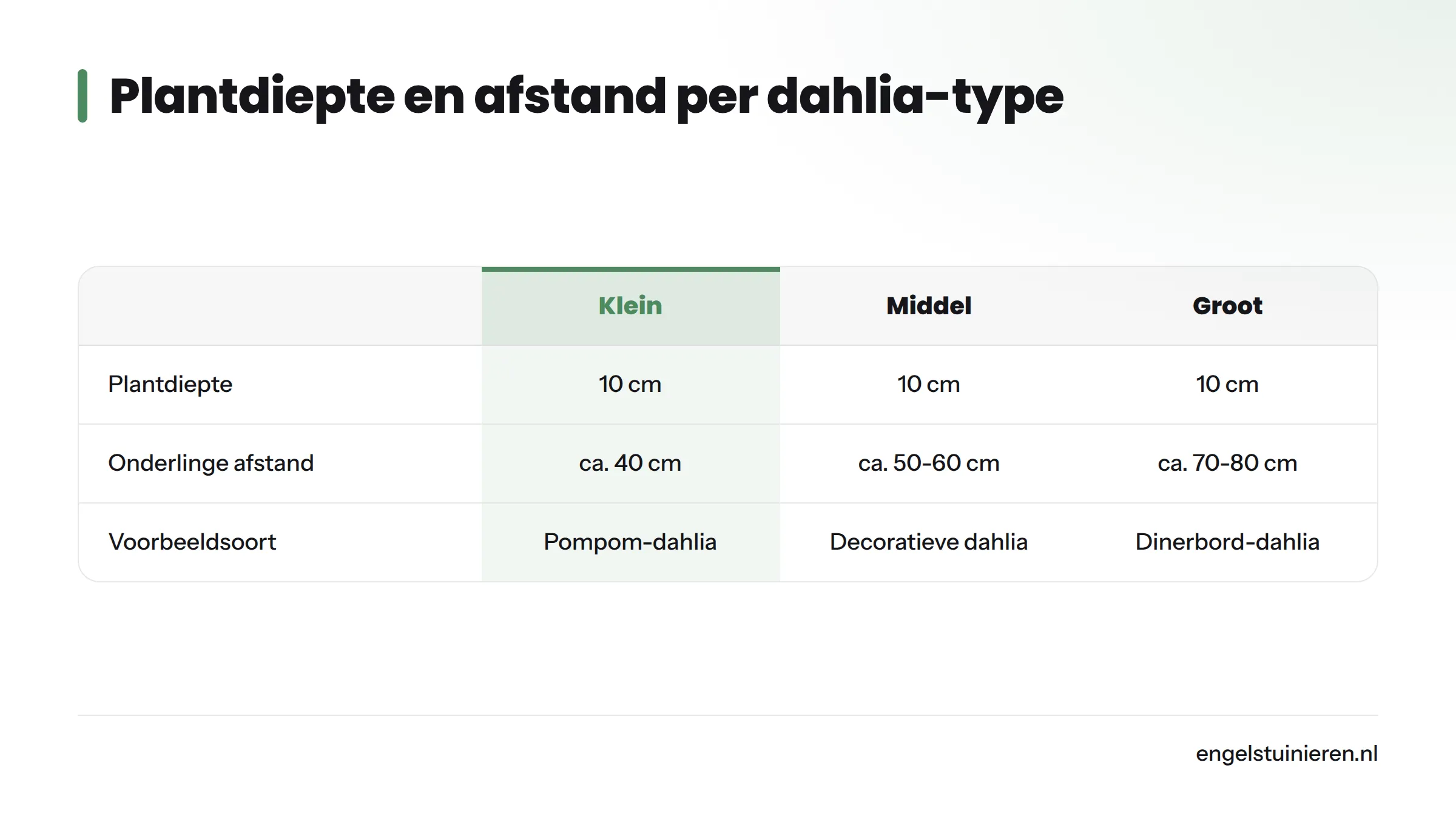Vergelijking van plantdiepte en onderlinge afstand voor kleine, middelgrote en grote dahlia's: alle typen op 10 cm diepte, afstand van 40 cm tot 70-80 cm.