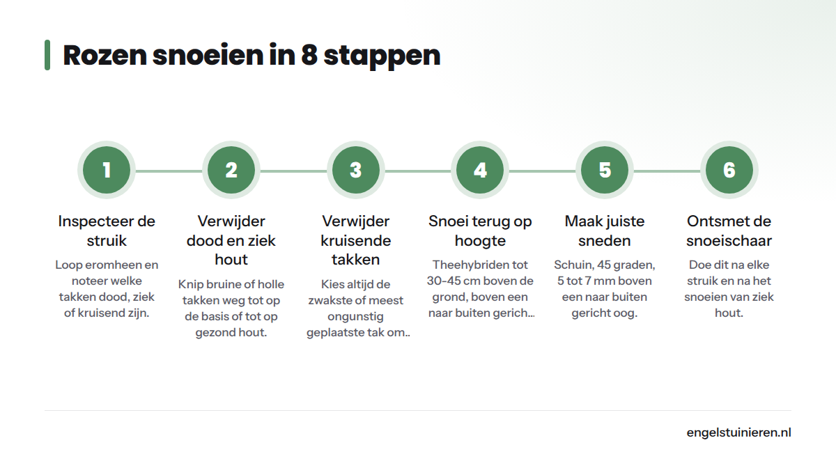 Stroomdiagram van acht opeenvolgende stappen voor de hoofdsnoei van rozen in het voorjaar, van inspectie tot aftercare.