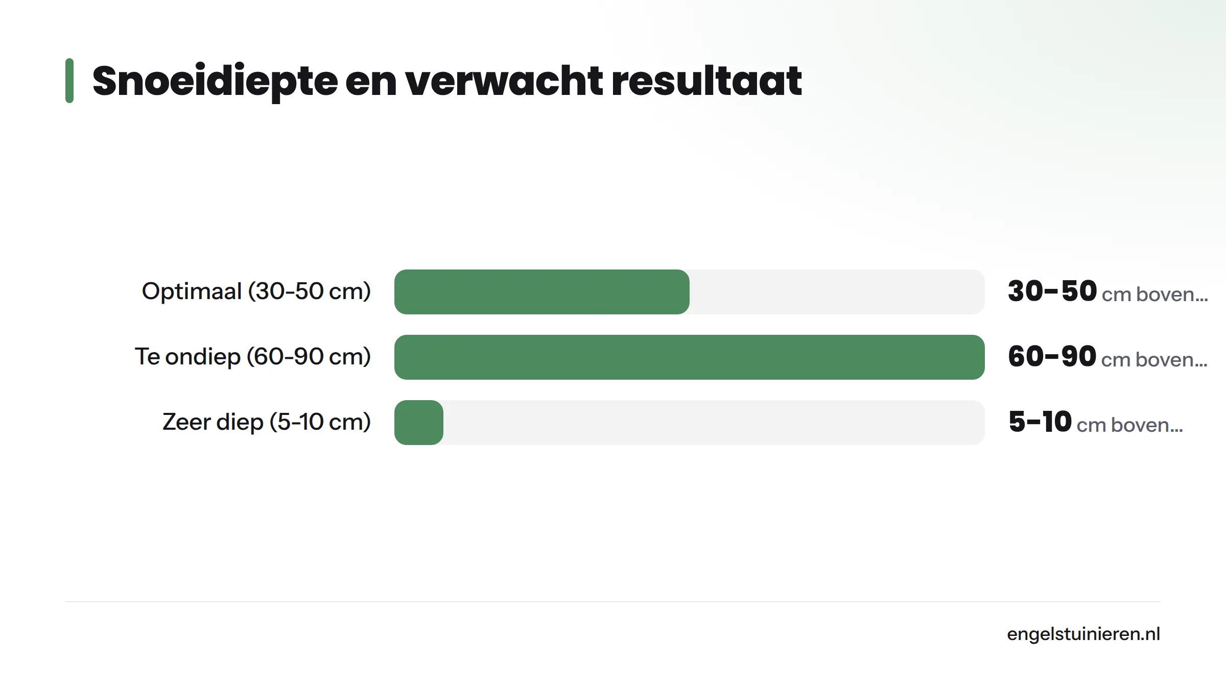 Staafdiagram met drie snoeidieptes: 30-50 cm voor rijke bloei, 60-90 cm voor minder bloei, en 5-10 cm waarbij bloei één seizoen op zich kan laten wachten.