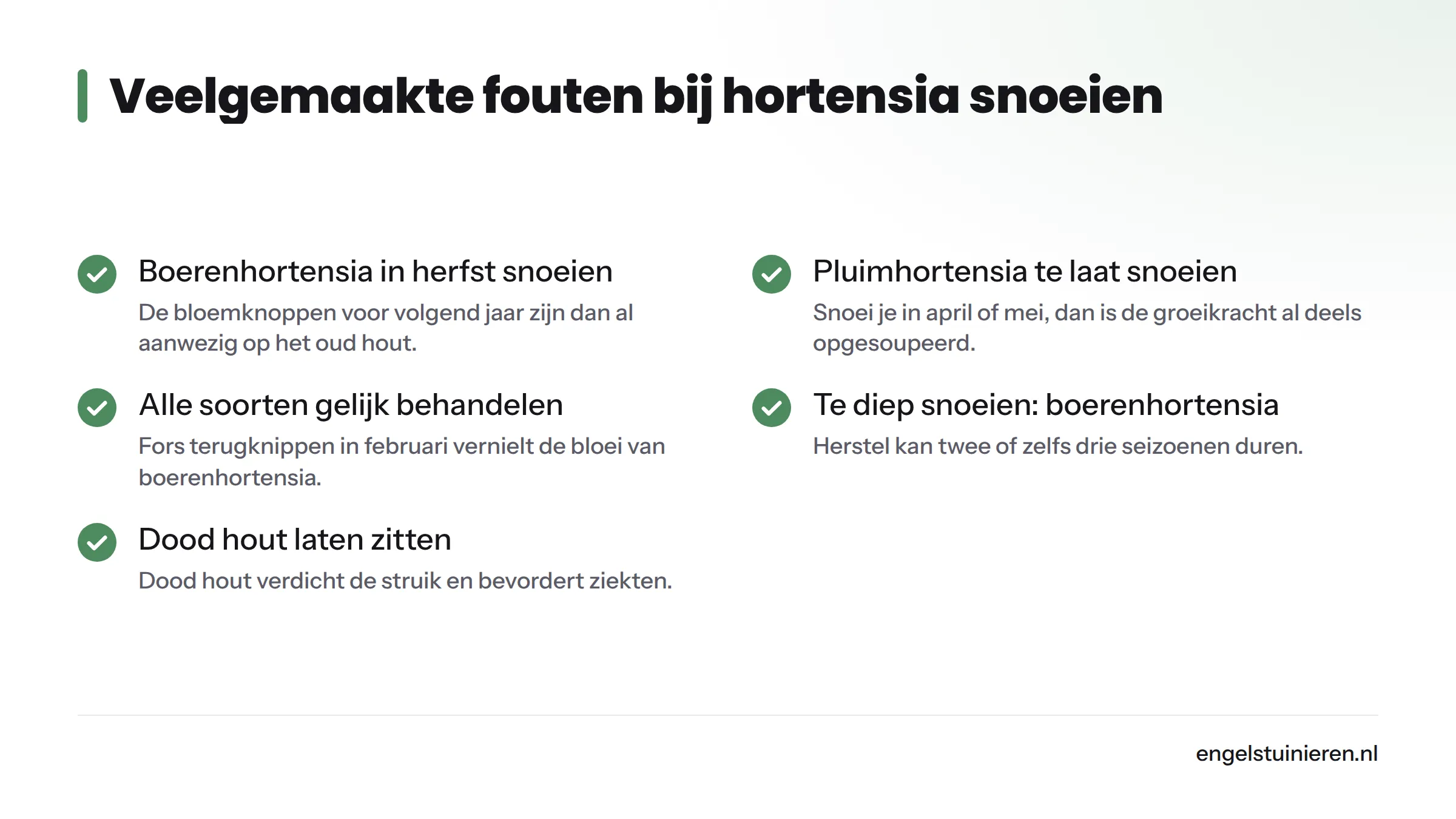 Overzicht van zes veelgemaakte snoeifouten bij hortensia's, waaronder herfst snoeien van boerenhortensia, te laat snoeien van pluimhortensia en alle soorten op dezelfde manier behandelen.