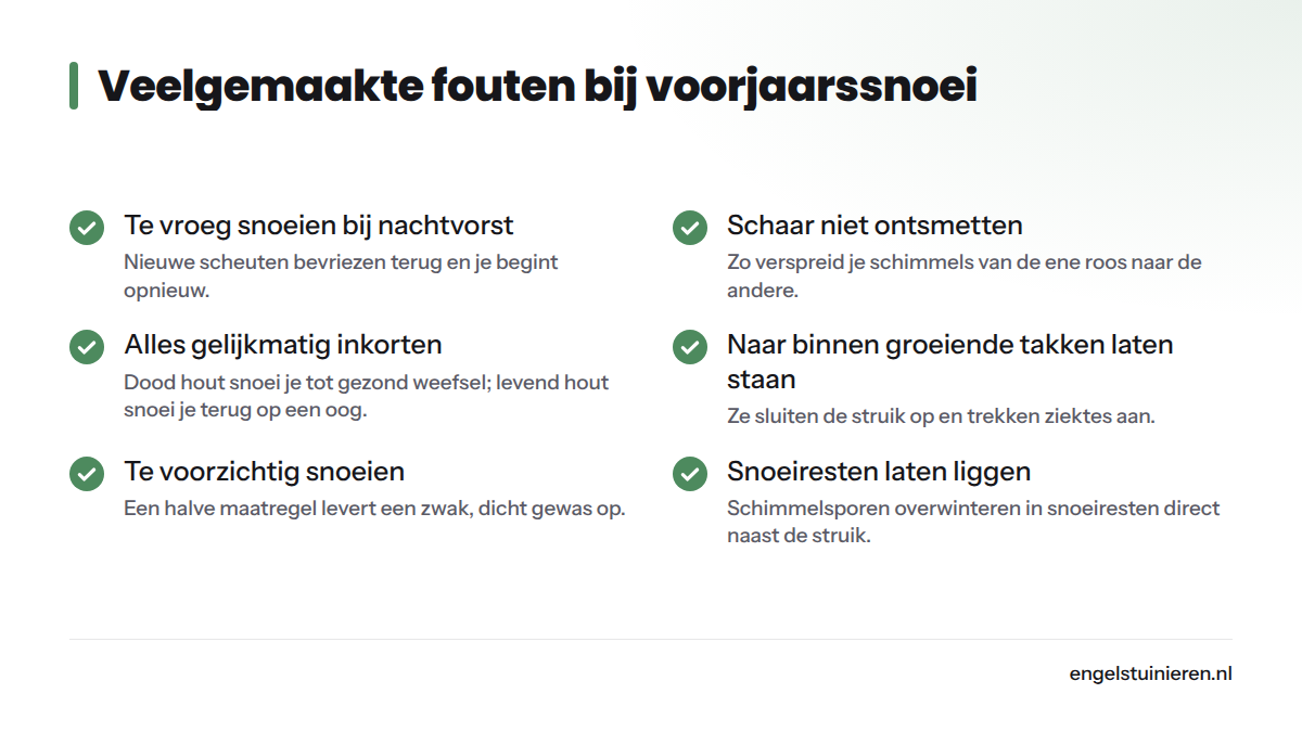 Zeven veelgemaakte fouten bij het snoeien van rozen in het voorjaar, van te vroeg snoeien bij nachtvorst tot snoeiresten laten liggen.