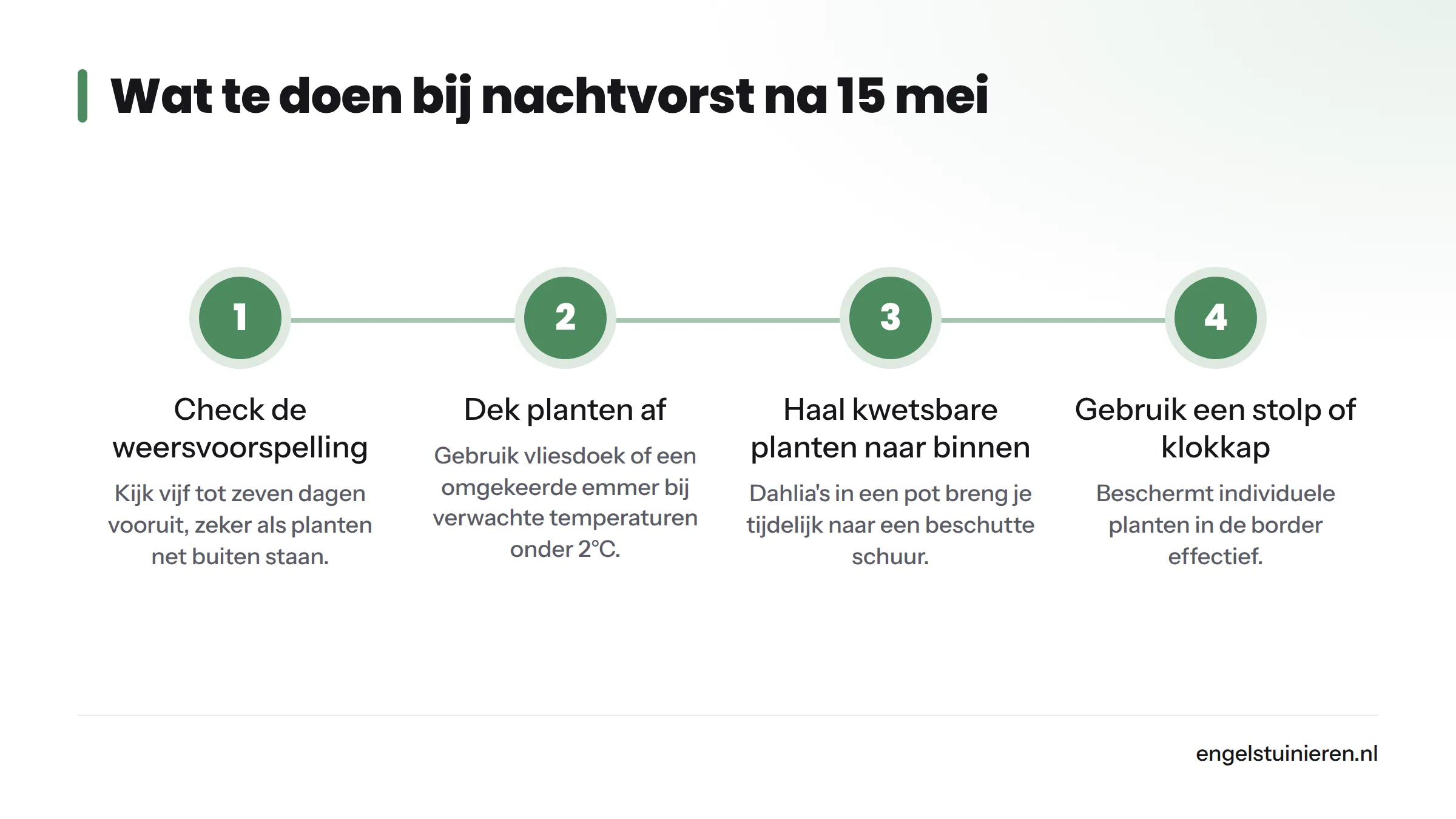 Vier stappen om vorstgevoelige tuinplanten te beschermen als de temperatuur na de ijsheiligen toch nog onder nul dreigt te zakken.
