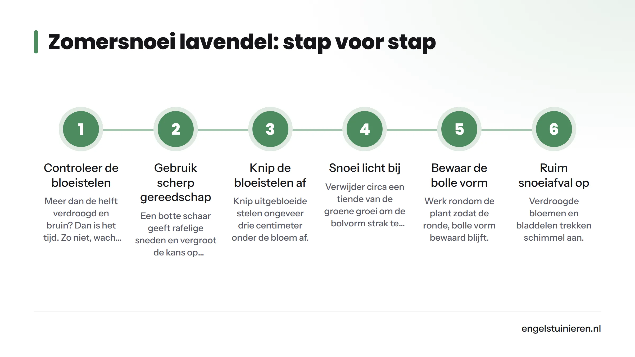 Zes opeenvolgende stappen voor de zomersnoei van lavendel, van controle van de bloeistelen tot het opruimen van snoeiafval.