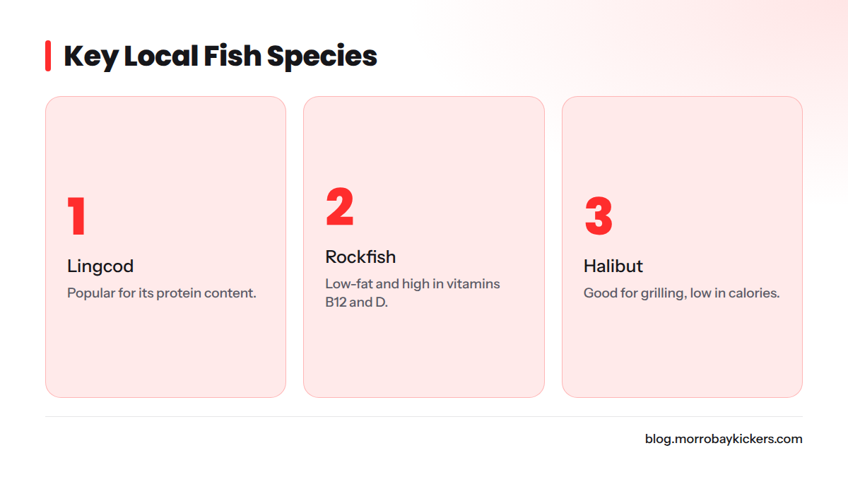 Top fish species in Morro Bay: Lingcod, Rockfish, Halibut.