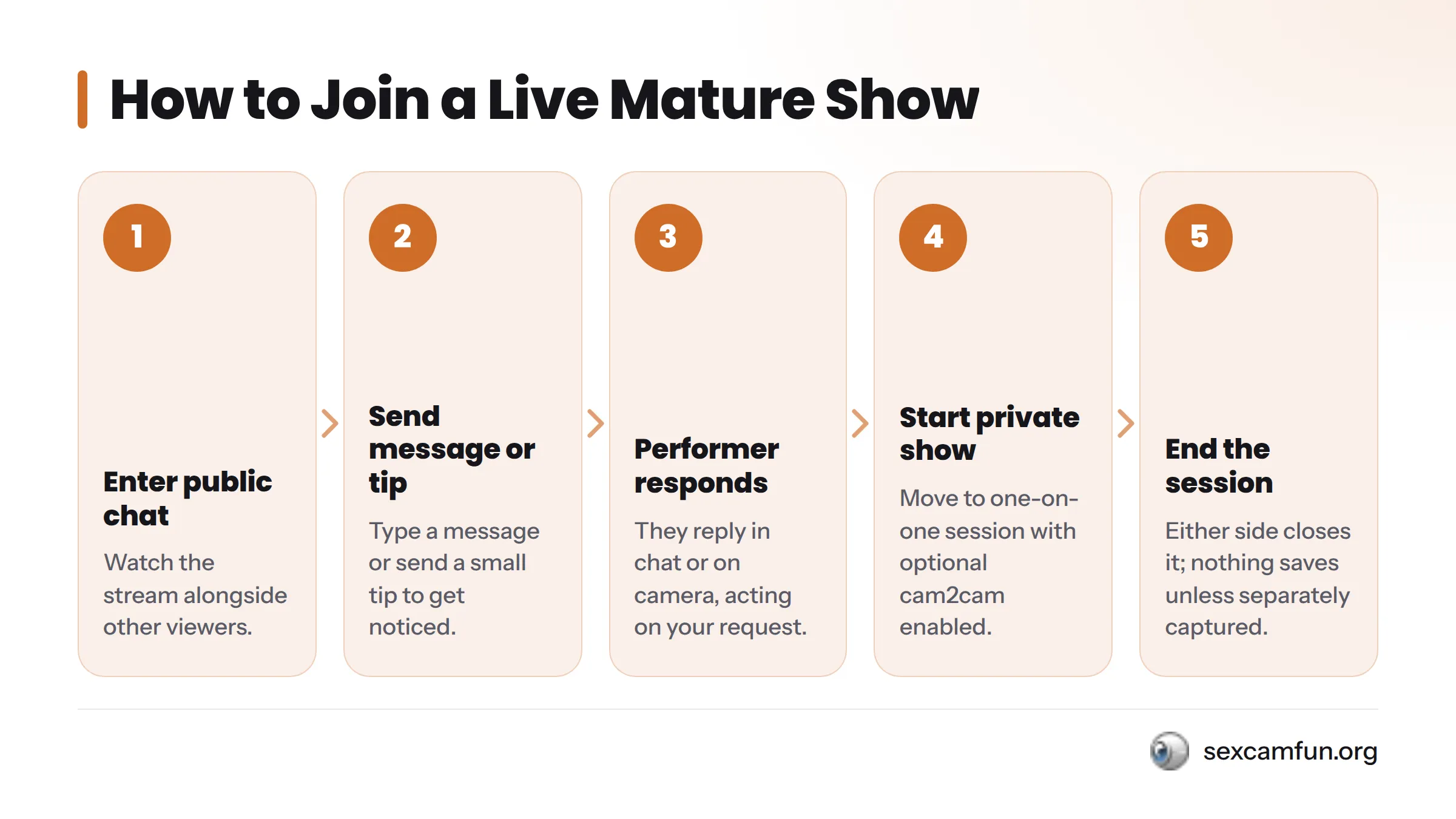Five sequential steps showing how to enter and interact in a live mature cam show: entering public chat, typing a message or tipping, receiving performer response, starting a private show…