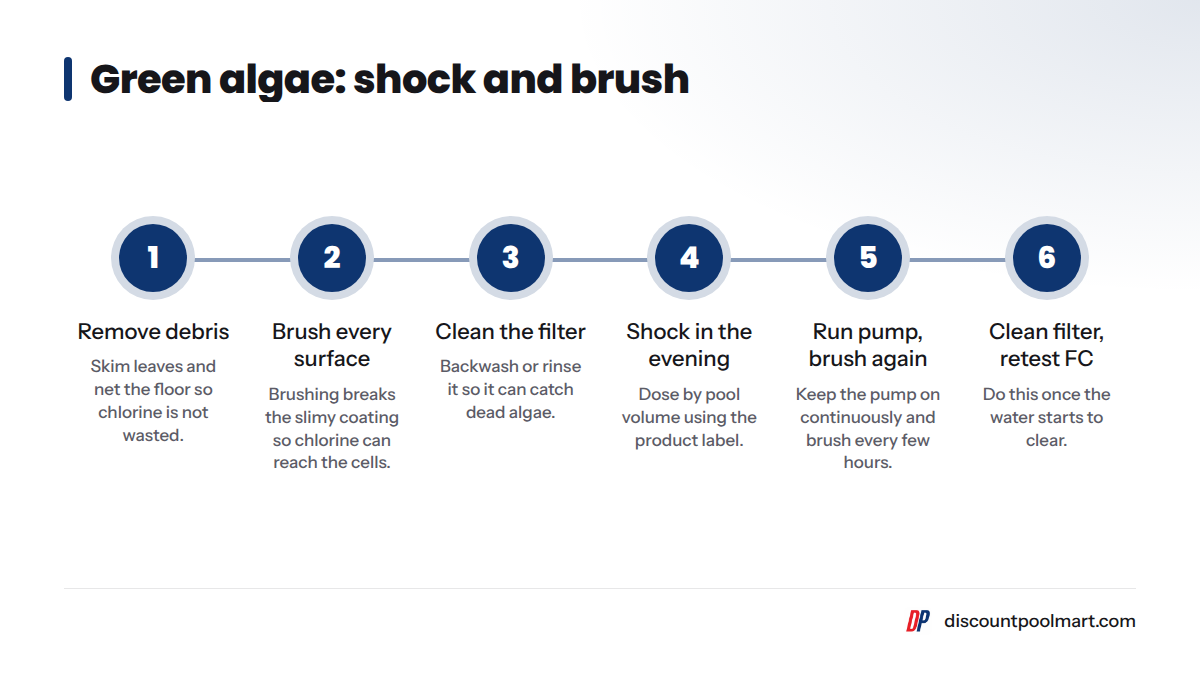 Six key steps for clearing a green pool: remove debris, brush, test, clean filter, shock, run the pump.