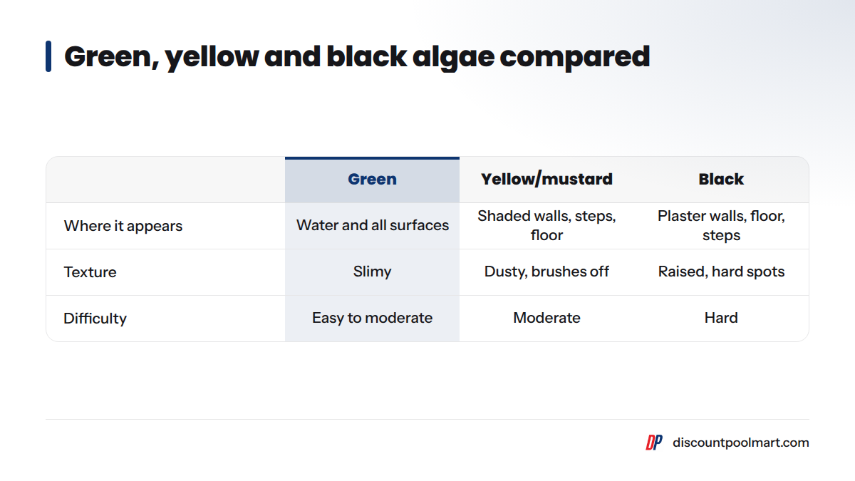 Table comparing green, yellow mustard and black algae by where they appear, texture and difficulty to remove.