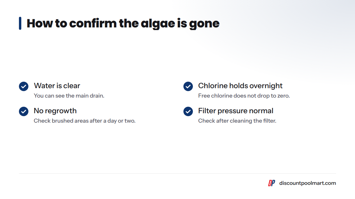 Checklist of four signs that algae is gone: clear water, steady chlorine, no regrowth, normal filter pressure.